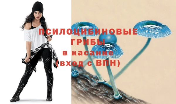 хмурый Покров