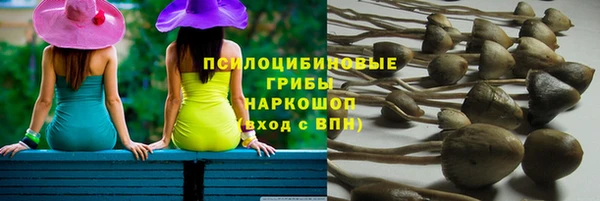 прущая мука Пестово