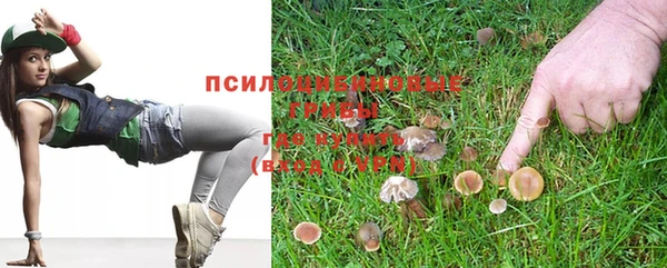 дмт Пересвет