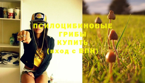твердый Олёкминск