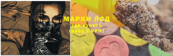 дмт Пересвет