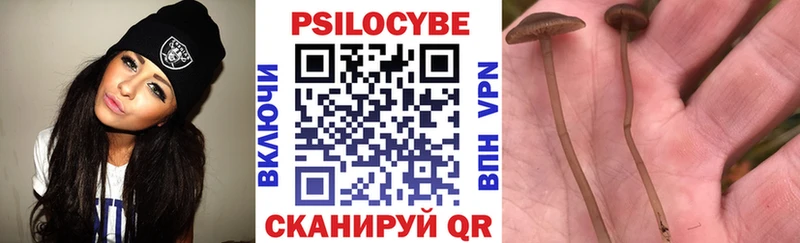 Галлюциногенные грибы Psilocybine cubensis  Уяр 
